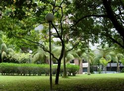 Cavenagh Court (D9), Apartment #463469951